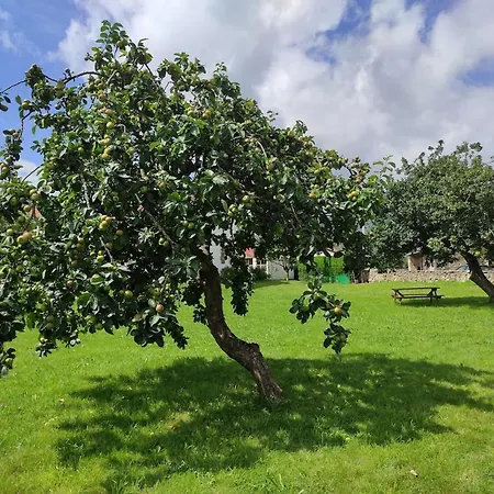 The Living Mountain - Haya Corva - דירה Ruente