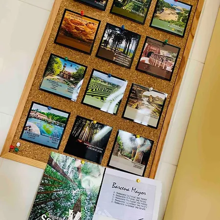 The Living Mountain - Haya Corva - *