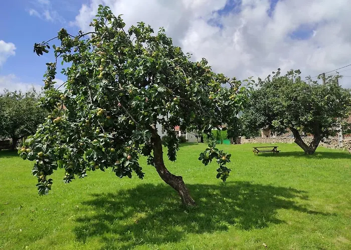 The Living Mountain - Haya Corva - Апартаменты Руэнте