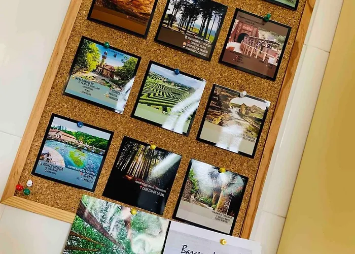 The Living Mountain - Haya Corva - *